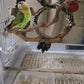 kathson Natural Parrot Perch Bird Stand Pole Wild Grape Stick Paw Grinding Fork Parakeet Climbing Standing Branches Toy Chewable Cage Accessories for Small Budgies Cockatiels Lovebirds 3PCS