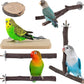 Bird Perches, 6 Pcs Natural Wood Parrot Perch Stand Chew Toys, Hanging Multi-Branch Parrot Perch Platform Swing Toy Cage Accessories for Small Parakeets, Budgies, Lovebirds, Canaries, Finches
