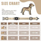 Airtag Dog Collar - Leather Dog Collar with Airtag Holder| IP68 Waterproof AirTag Holder with Metal Buckle, Comfortable GPS Dog Collars Tracker for Medium Large Dogs (Champagne Gold, XL)