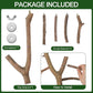 Bird Perch Stand, Natural Vitex Negundo Wood Parrot Perch Bird Cage Branch Perch, Accessories for Parakeets, Cockatiels, Conures, Macaws, Finches, LoveBirds (12" Length)