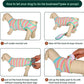 Kuoser Recovery Suit for Dogs Cats After Surgery, Professional Pet Recovery Shirt Dog Abdominal Wounds Bandages, Substitute E-Collar & Cone,Prevent Licking Dog Onesies Pet Surgery Recovery Suit