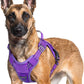 rabbitgoo Dog Harness for Large Dogs No Pull, Tactical Service Pet Vest with Molle and Control Handle, Adjustable and Reflective Military Harness for Easy Walking and Training, Purple, XL