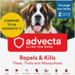 Ultra Flea and Tick Prevention for Dogs - Dog and Puppy Treatment and Control - Mosquito Repellent - XL, Fast Acting Waterproof Topical Drops, 2 Month Supply