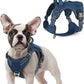 rabbitgoo Tactical Dog Harness for Small Dogs, No Pull Military Service Vest with Handle & Molle, Easy Control for Training Walking, Adjustable Reflective Straps, Blue, S