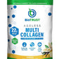 BioTrust Ageless Multi Collagen Peptides Powder – 5 Types (I, II, III, V, X) – Vanilla Collagen Powder for Women & Men – Hydrolyzed Protein – Grass Fed Beef, Fish, Chicken, Eggshell Membrane