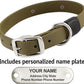 Biothane Custom Dog Collar – Waterproof, Stink-Proof Personalized Collar with Name & Phone Number – Durable, Many Sizes and Colors – Assembled in USA (Olive Green)