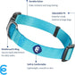 Blueberry Pet Essentials X-Small Dog Collar in Turquoise | Adjustable & Eco-Friendly Durable Nylon Strap | Classic Collar for X-Small Dogs, Boy & Girl Pets