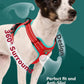 MIDOG No-Pull Dog Harness | Adjustable & Reflective Pet Harness Leash Set for Small Medium Large Dogs Walking, Training| No Choke, Front Clip, Soft Padded Vest with Easy Control Handle - Red, XS