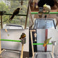 Bird Palyground, Parrot Playstand Natural Wood, Bird Perch Stand Gym with Feeder Cups and Removable Tray, Bird Cage Accessories for Parakeets Cockatiels Lovebirds