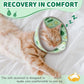 Cat Cone Collar Soft, Comfortable Cat Recovery Collar Pet Cone for Small Large Cats, Lightweight Elizabethan Collar for Cats Kittens After Surgery Prevent from Licking Wounds, Green, S