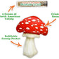 Meowijuana Refillable Cat Toys | Get Sprung - Ladybug and Mushroom Catnip Toys | Includes Potent Hand Harvested Catnip Grown in North America | Promotes Play and Cat Health