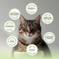 Blackwood Bounty Dry Cat Food, Whitefish & Lentil Recipe for All Life Stages, 10 Pound Bag, High Protein, Grain Free