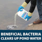 Airmax PondClear Liquid Bacteria for Lakes, Ponds & Water Garden Treatments, Natural Bio Clarifier & Cleaner for Crystal Clear Water, Remove Nutrients & Noxious Odor, Fish, Pet & Plant Safe, 1 Gallon