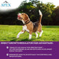 Apex Plus Flea and Tick Prevention for Dogs | Large (45-88 lbs) | 3-Month Supply | Dog Flea and Tick Treatment | 24-Hour Activation, Waterproof, 30-Day Protection