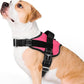 rabbitgoo Dog Harness for Large, Easy On Pet Vest with One Buckle, No Pull Adjustable Service Harness with D-Ring & Handle, Reflective for Safety Walking, Training, Pink, L