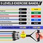 Resistance Bands,Exercise Bands,Resistance Bands for Working Out with Handles for Men and Women,Workout Bands with Door Anchor and Ankle,Strength Training Home Gym Equipment