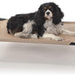 K&H Pet Products Cooling Elevated Dog Bed, Outdoor Raised Cot with Waterproof Breathable Mesh for Medium Dogs, Portable Place Bed with Heavy-Duty Metal Frame & Hammock Style Cover - Medium Tan