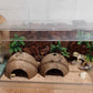 Hamiledyi Reptile Hideouts Natural Coconut Shells Hut Hermit Crab Climbing Toys Gecko Hide Cave Lizard Habitat Decor Plant Leaves Decoration for Spider Snake Chameleon (4Pcs)