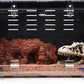 10 Gallon Reptile Tank – Reptile Enclosure for Leopard Geckos, Snakes & Bearded Dragons – Lizard Tank, Hermit Crab & Gecko Habitat