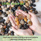 SIDONG 10 LB Mixed River Rocks, 0.3-0.5 Inches High Polished Pebbles for Indoor Plants, Aquarium Rocks Used in Fish Tank, Decorative Stones for Plants, Vases, Home Décor, Crafting, Garden Landscaping