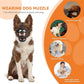 Dog Muzzle, Basket Muzzle Anti Biting Chewing, Sturdy Lightweight Muzzle Allows Panting Drinking, Cage Muzzle for Small Medium Large Dogs, Suitable for Grooming Trimming Training (Size 6)