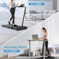 Walking Pad Treadmill with Handle Bar 3.0 HP Foldable Treadmills 300LBS Capacity Folding Walking Pad 3 in 1 Under Desk Treadmill Remote Control with APP