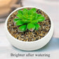 20lbs Fish Tank Sand, 1/16 inch Small Aquarium Gravel. Decorative Pea Gravel River Rocks for Air Plants, Vase Fillers, Landscaping and Succulent Soil Cover