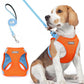 rabbitgoo Dog Harness Small Medium Sized and Leash Set, Step in Soft Light Puppy Vest, Breathable Mesh Pet Harness, Reflective for Safe Easy Walking, Blue & Orange L
