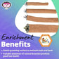Super Bird Creations SB1154 Sure-Grip Grooming Perch Extra Large, Large/XL Bird Size - Enriches Beak and Foot Health - Ideal for Parrots African Greys Cockatoos - XL Bird Size, 1 1/4" diam x 12" (XL)