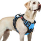 rabbitgoo Dog Harness for Large, No Pull Pet Harness with 3 Buckles, Adjustable Soft Padded Vest with Control Handle, Walking Reflective Pet Vest for Large Dogs, Sky Blue, L