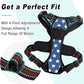 BARKBAY No Pull Dog Harness Large Step in Reflective Dog Harness with Front Clip and Easy Control Handle for Walking Training Running(Star,L)