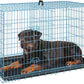 FDW Dog Crate for Large Dogs 42 Inch Folding Metal WirePet Cage Double Door W/Divider Panel Indoor Outdoor Kennel Leak-Proof Plastic Tray,Blue