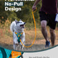 MIDOG No-Pull Dog Harness | Adjustable & Reflective Pet Harness Leash Set for Small Medium Large Dogs Walking, Training| No Choke, Front Clip, Soft Padded Vest with Easy Control Handle - Blue, M