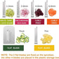 WellToBe 6-Blade Vegetable Spiralizer Spiral Slicer Veggie Pasta Spaghetti Maker for Healthy Low Carb/Paleo/Gluten - 304 Food Stainless Steel Body