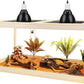 Prolee Reptile Terrarium Tank 60 Gallon Maximum, Lizard Tank Bearded Dragon Tank with Metal Mesh Roof Door, Snake Tank with Lock Design, 40" Length