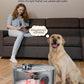 Dog Water Fountain Stainless Steel, 11L/2.8Gal Large Pet Water Fountain for Large Dogs Inside, Dog Fountain Water Bowl Automatic Dispenser with Visible Window & LED, Ultra Quiet for Dogs and Multi-Pet