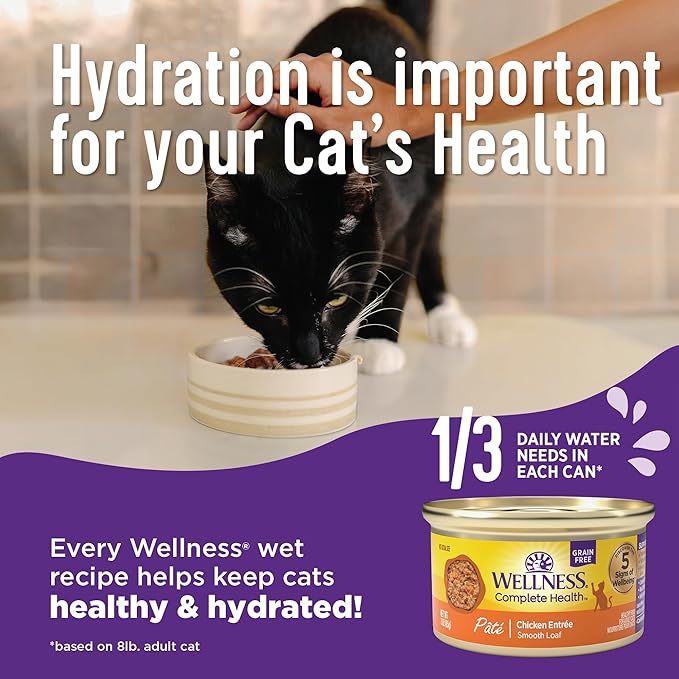 Wellness Complete Health Pate Adult Wet Cat Food, Natural, Protein-Rich, Grain-Free, 3 Ounce, 24 Pack, (Seafood Favorites Variety Pack)