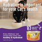 Wellness Complete Health Pate Kitten Wet Cat Food, Natural, Protein-Rich, Grain Free, 3 Ounce, 24 Pack, (Chicken)