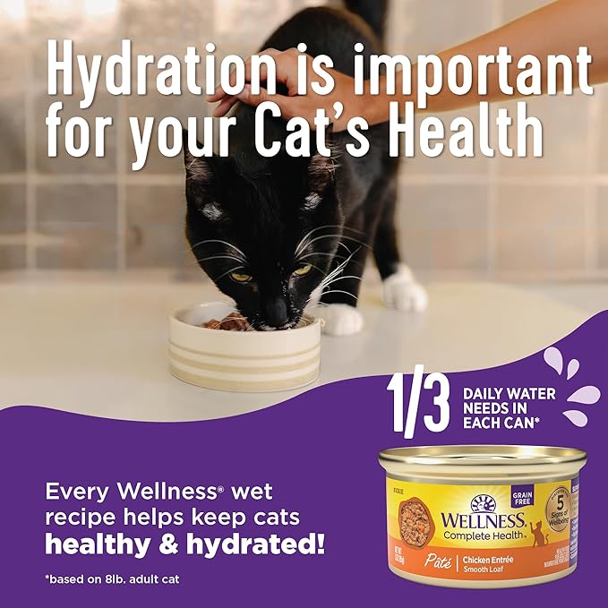 Wellness Complete Health Pate Adult Wet Cat Food, Natural, Protein-Rich, Grain-Free, 3 Ounce, 12 Pack, (Seafood Variety Pack)