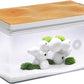 Harmony Aquatic Tank by Clairnara - Harmony Legend - iF Design Award Winning 10 Gallon All-in-One Aquarium (White Tank with Cedar Grain top, Harmony Legend)