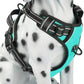 PoyPet No Pull Dog Harness, Reflective Comfortable Vest Harness with Front & Back 2 Leash Attachments and Easy Control Handle Adjustable Soft Padded Pet Vest for Small to Large Dogs (Mint Blue,XL)