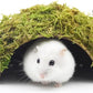 Hamster Hideaway/Hideout,Mossy Cave Hide,Hamster House/Hides,Hamster Cage Accessories for Gguinea Pig/Hedgehogs/Gliders/Rats/Mice and Other Small Animals (Small)
