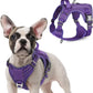 rabbitgoo Tactical Dog Harness for Small Dogs, No Pull Military Service Vest with Handle & Molle, Easy Control for Training Walking, Adjustable Reflective Straps, Purple, S