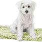 Stoutwool Indestructible Dog Bed - Fluffy Chew Proof Dog Crate Pad - Tough Kennel Pad for Aggressive Chewers - Ideal for Extra Small Breeds & Fits 22-Inch Crate - 21"x12", Gleam