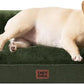 EHEYCIGA Orthopedic Dog Bed for Small Dogs, Waterproof Memory Foam Small Dog Beds with Sides, Non-Slip Bottom and Egg-Crate Foam Medium Pet Couch Bed with Washable Removable Cover, Dark Green
