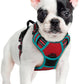 rabbitgoo Dog Harness No Pull with 2 Leash Clips, Adjustable Soft Padded, Reflective Oxford No Choke Pet Vest with Easy Control Handle for Small Dogs, Red & Teal, S