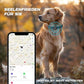 AirTag Dog Collar - Leather Dog Collar with Air Tag Holder | IPX8 Waterproof, Reflective, High - End, Adjustable Soft Padded | Dog GPS Tracker Collars Fit for Medium Large Dogs (Black, L)