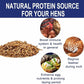 RANZ 8LBS Non-GMO Dried Mealworms for Chickens, High Protein Meal Worms, Premium Chicken Feed, Whole Large Mealworms for Blue Birds, Ducks, Fish