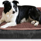 Dog Beds for Medium Dogs, Medium Dog Bed, Warming Soft Durable Pet Bed with Anti-Slip Bottom