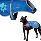 Dog Reflective Vest – Hi-Vis Fluorescent Visibility That Helps to Safeguard Your Pet On/Off Leash in Urban & Rural Areas (Blue, Medium)